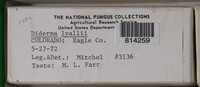 Image Associated With the Occurence